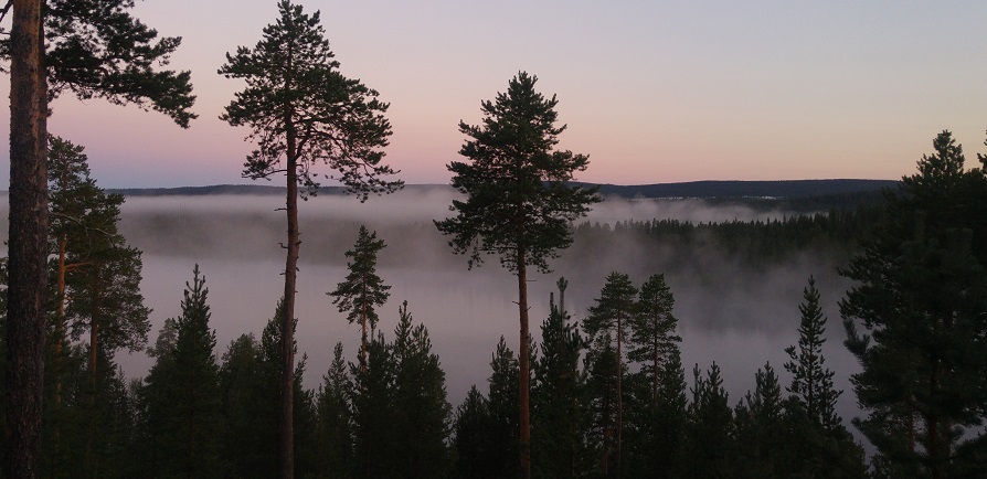 lappi luonto 4 yön usvaa
