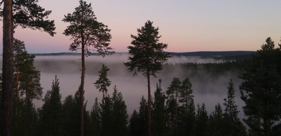 lappi luonto 4 yön usvaa