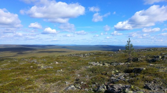 lappi luonto 5 kiilopää maisema