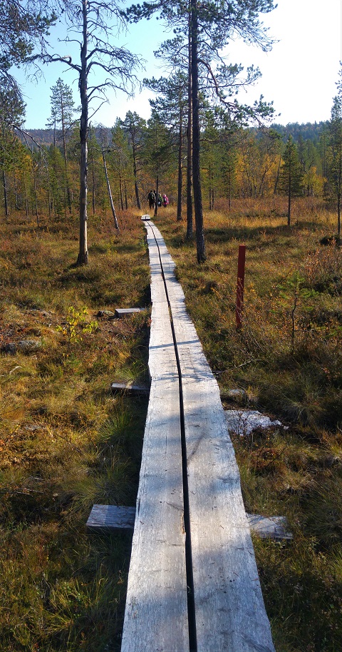 otsamo 2 pitkospuut p