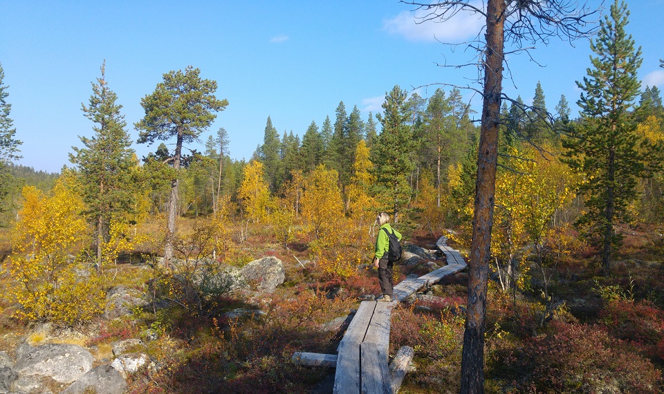 otsamo 3 vaeltaja keltasessa