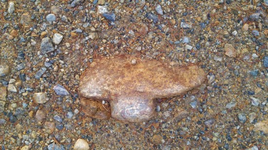 sienet 9 tattimerkitty tie