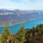 Patikkasesonki pakettiin