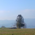 Tammikuun ulkolounas