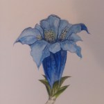 Sveitsin kouluelämää: korkeakouluun ilman&nbsp;lukiota