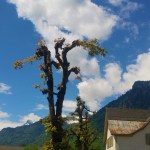 Huonoja retkiä ei&nbsp;olekaan