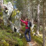 Surettaako Surettatalissa?