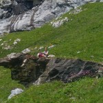 Siellä mistä joki&nbsp;alkaa