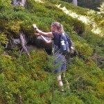 Marjahimo pistää kiipeämään vuoren&nbsp;mättäille