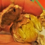 Kastanjaa uunissa ja&nbsp;keitossa