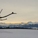 Kävellen kohti uutta