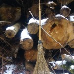 Haave-, virtuaali- ja kotiseutureissuja