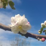 Tältäkö maailma toisessa suunnassa&nbsp;näyttää?