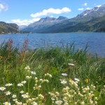 Juliette Binochen ja Malojan käärmeen&nbsp;jäljillä