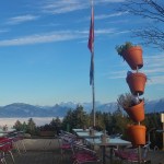 Pungerus sumun läpi&nbsp;aurinkoon