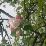 Kevättä ja vastuullista&nbsp;matkailua