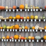 78 km rankkasateessa