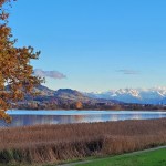 Alppien koristamilla joulumarkkinoilla ja&nbsp;toisillakin