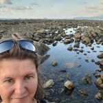 Vamos a la&nbsp;playa…