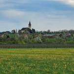 Iltainen omenankukkapyöräily