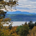 Tuskaa kauniissa syksyssä