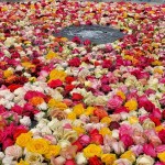 Hyvää pääsiäistä ruusujen&nbsp;kera