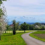 Omenankukkia ja maaseutua