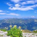 Maanantaina kävelin kengät&nbsp;tohjoksi