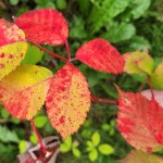 Siis minne oltiinkaan&nbsp;menossa?