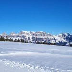 akuutti turhauma, elämän&nbsp;energialähde