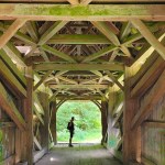 Selkäkramppi ja 18&nbsp;siltaa