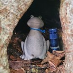 Spagettijäätelöä ja sammakoita