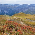 Kaikki muuttuu, myös&nbsp;polut