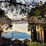 Löytyykö joulu toreilta?