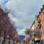 Valitut palat kevättä